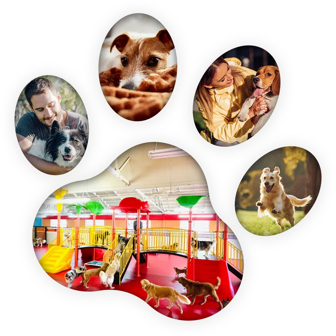 Dog paw made out of dog images